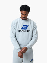 CHENILLE B+ SWEATER | HEATHER GREY / ROYAL BLUE