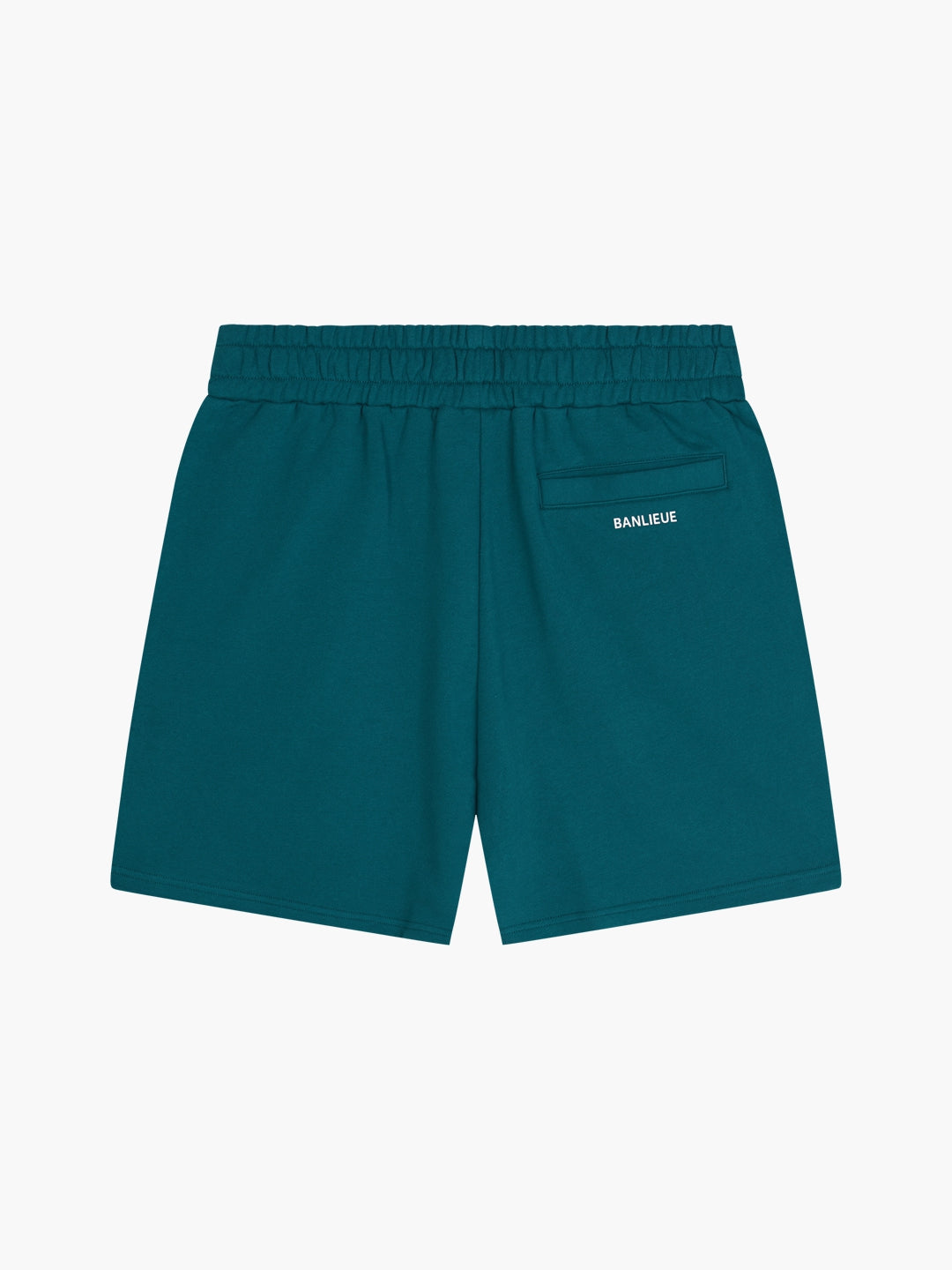 SCRIPT SHORTS | SEA MOSS